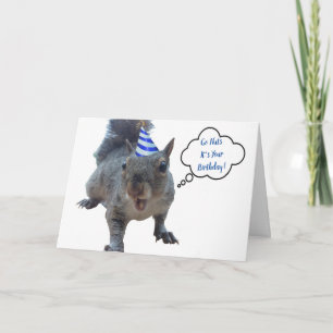 Carte Go Nuts Party Squirrel Birthday Card