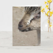 Carte Goat Kid (Fleur jaune)