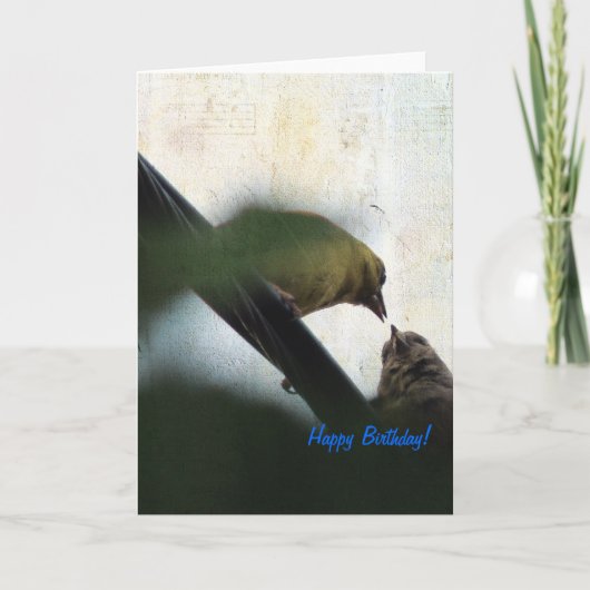 Carte Godfinch Nourrir la poule Joyeuse Anniversaire (Devant)