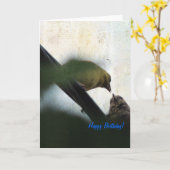 Carte Godfinch Nourrir la poule Joyeuse Anniversaire (Fleur jaune)