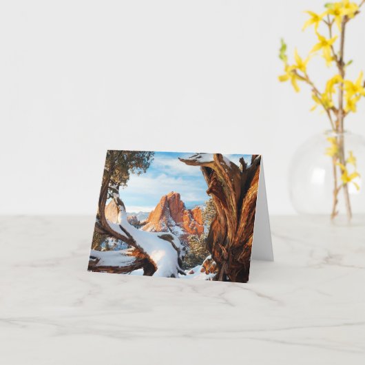 Carte gog-apr (Fleur jaune)