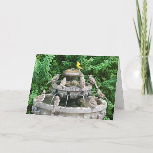 Carte Golden Boy (Devant)