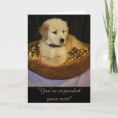 Carte Golden Expanding the Nest New Addition (Devant)