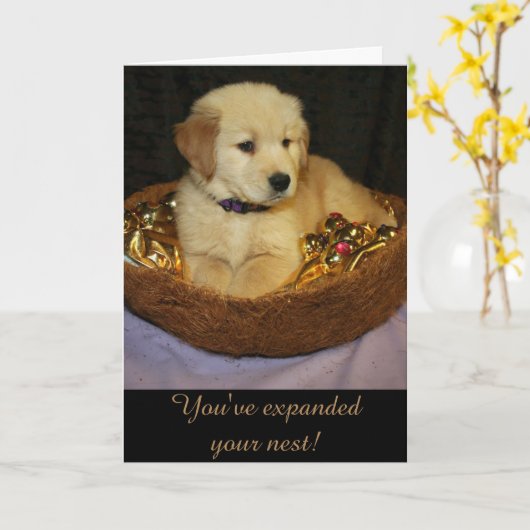 Carte Golden Expanding the Nest New Addition (Fleur jaune)