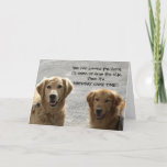 Carte Golden Lab Friends Anniversaire<br><div class="desc">Deux Golden Labrador Retrievers ensemble. Jeunes et vieux,  amis à vie ! Le complot est à l'oeuvre ! On dirait qu'ils vont te presser pour le gâteau ! Joyeux anniversaire ! ! Intérieur.</div>