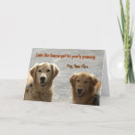 Carte Golden Lab Friends Anniversaire<br><div class="desc">Deux Golden Labrador Retrievers ensemble. Jeunes et vieux,  amis à vie !  "On dirait que Samson a eu son toilettage annuel" "Oui,  mouches du temps" "Joyeux anniversaire. Offrez-vous quelque chose de bien !"</div>