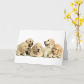 Carte Golden Labrador Pupile (Fleur jaune)
