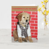 Carte Golden New Puppy (Fleur jaune)