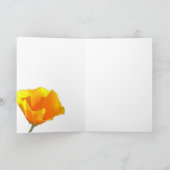 Carte Golden Poppies (Inside Blank) (Intérieur)