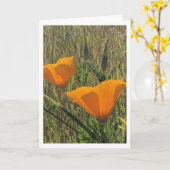 Carte Golden Poppies (Inside Blank) (Fleur jaune)