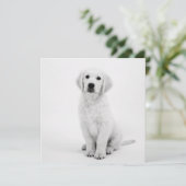 Carte Golden Retriever (Debout devant)