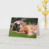 Carte Golden Retriever (Fleur jaune)