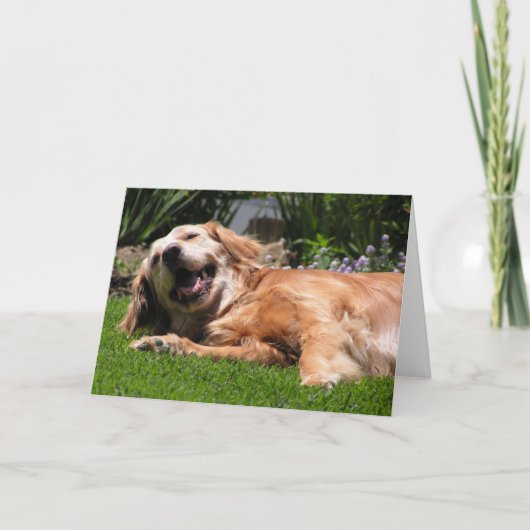 Carte Golden Retriever (Devant)