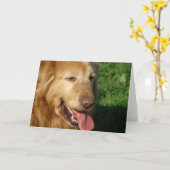 Carte Golden Retriever (Fleur jaune)
