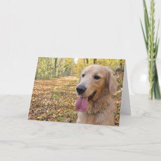 Carte Golden Retriever