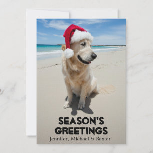 Carte Golden Retriever à la plage vierge