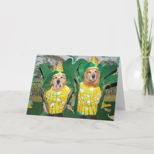 Carte Golden Retriever A-Maize-Ing Corn Thanksgiving (Devant)