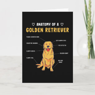 Carte Golden Retriever Anatomie Funny Chien cadeau