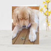 Carte Golden retriever anniversaire avec grenouille (Fleur jaune)