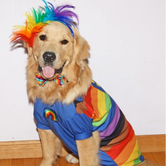 Carte Golden Retriever Be You Pride