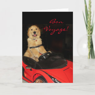 Carte Golden Retriever Bon Voyage en voiture