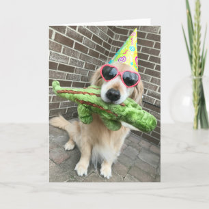 Carte Golden Retriever Chien avec jouet Joyeux anniversa