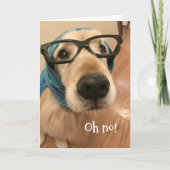Carte Golden Retriever Chien avec lunettes Anniversaire (Devant)