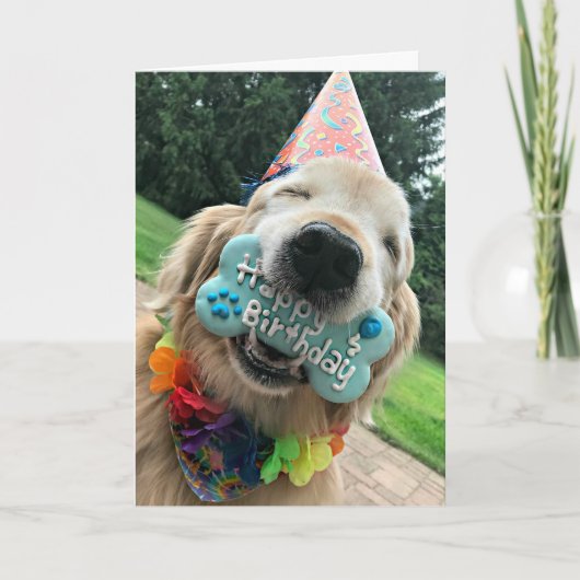 Carte Golden Retriever Chien Avec Treat Joyeux Anniversa (Devant)