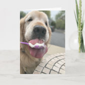 Carte Golden Retriever Chien C'est toujours Ice Cream O' (Devant)