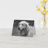 Carte Golden Retriever Chien Chien Chien Chien Chien Bla (Fleur jaune)