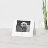 Carte Golden Retriever Chien Chien Chien Chien Chien Bla (Dos)