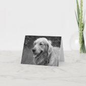 Carte Golden Retriever Chien Chien Chien Chien Chien Bla (Devant)