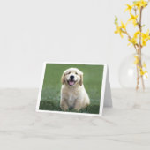 Carte Golden Retriever Chien Chien Chien Chien Chien Bla (Fleur jaune)