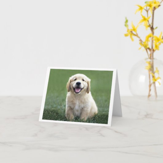Carte Golden Retriever Chien Chien Chien Chien Chien Bla (Fleur jaune)