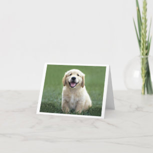 Carte Golden Retriever Chien Chien Chien Chien Chien Bla