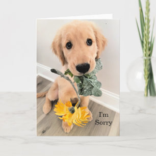 Carte Golden Retriever Chien Chien Chien Chien Je suis d