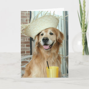 Carte Golden Retriever Chien en paille Casquette heureux