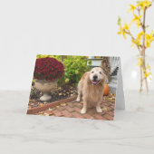 Carte Golden Retriever Chien et Automne Décor Thanksgivi (Fleur jaune)
