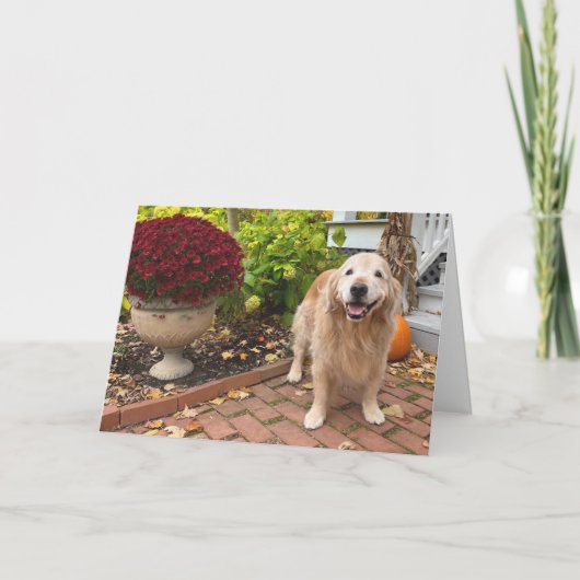 Carte Golden Retriever Chien et Automne Décor Thanksgivi (Devant)