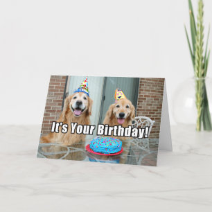 Carte Golden Retriever Chien Joyeux gâteau d'anniversair