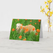 Carte Golden Retriever dans le pavot (Fleur jaune)