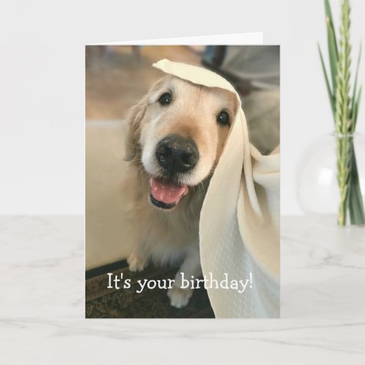Carte Golden Retriever Dog C'est ton anniversaire (Devant)