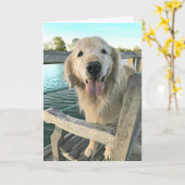 Carte Golden Retriever Dog on a Dock Thinking of You (Fleur jaune)