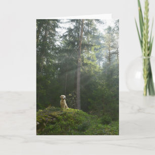 Carte Golden Retriever Dog   Pine Woodland