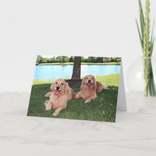 Carte Golden Retriever Dogs in Park ont un jour heureux