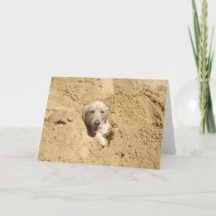 Carte Golden retriever drôle