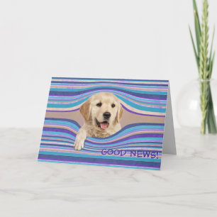 Carte Golden Retriever En Grève Anniversaire Humour