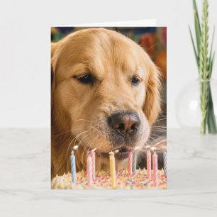 Carte Golden Retriever Éteignant des Bougies d'Anniversa