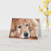 Carte Golden Retriever Get Well (Fleur jaune)