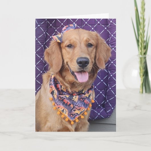 Carte Golden Retriever Halloween greeting card (Devant)